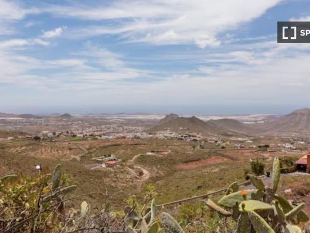 santa_cruz_de_tenerife, Canary Islands 38649