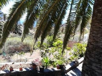 santa_cruz_de_tenerife, Canary Islands 38840
