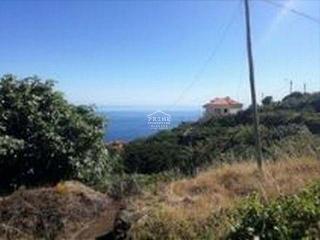 Santa Cruz Ilha da Madeira 96312901