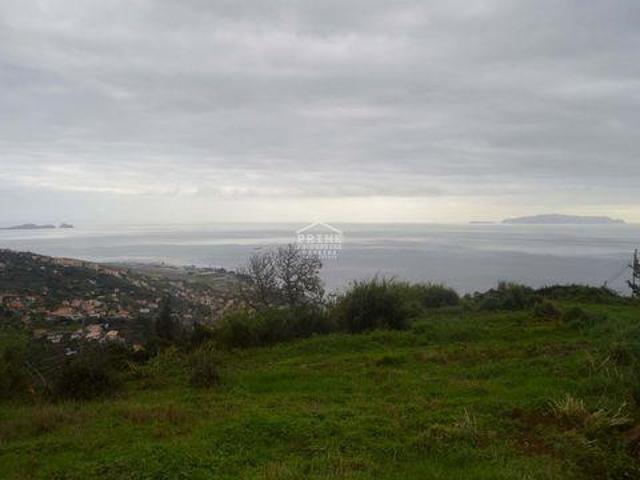 Santa Cruz Ilha da Madeira 96316739
