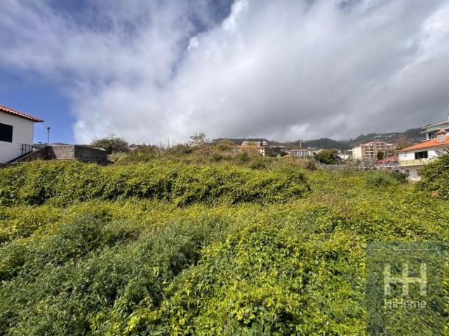 Santa Cruz Santa Cruz 104045856