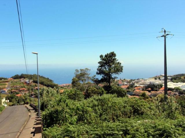 Santa Cruz Santa Cruz 104903948