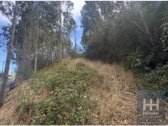 Santa Cruz Santa Cruz 105748033