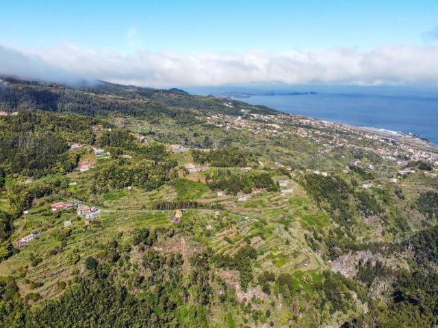 Santa Cruz Santa Cruz 9100 119 101485877