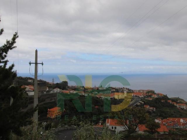 Santa Cruz Santa Cruz 9125 223 90123045