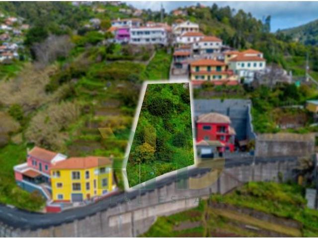 Santa Cruz Santa Cruz 9135 414 101009938