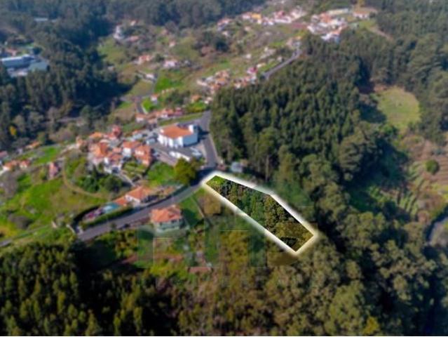 Santa Cruz Santa Cruz 99514612