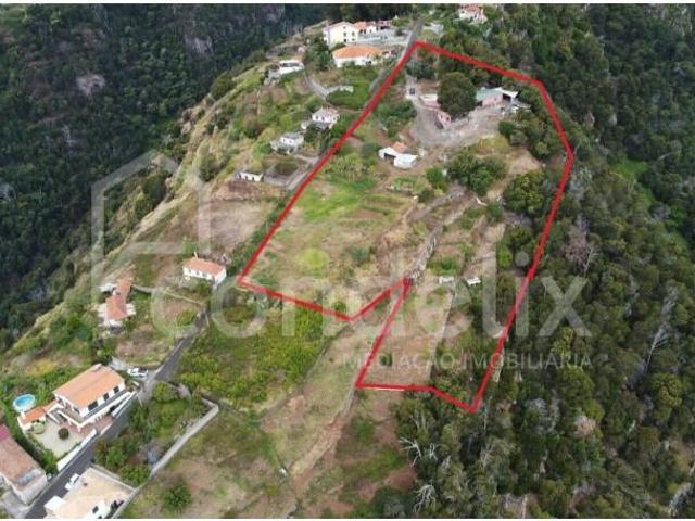Santa Cruz Santa Cruz 99379205