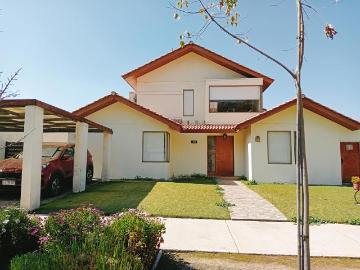 Santa Elena/Colina, Colina