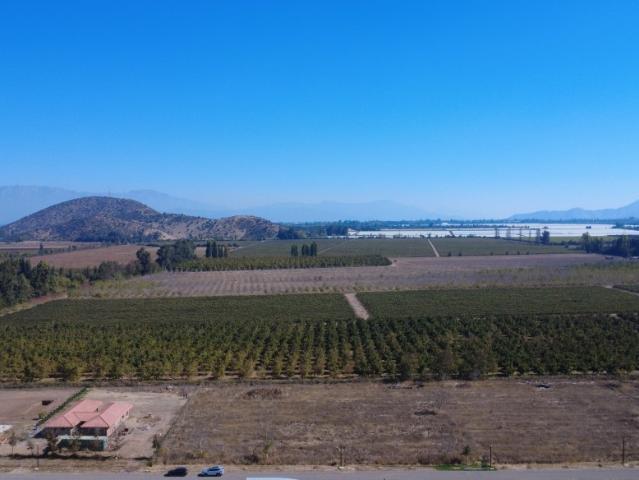 SANTA LUISA DEL PALPI PAINE