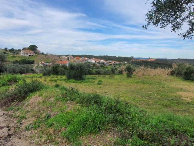 Santarém Tomar 2305 98918367
