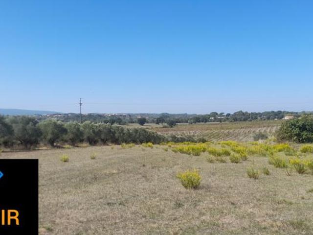 Santarém Tomar 2305 98918494
