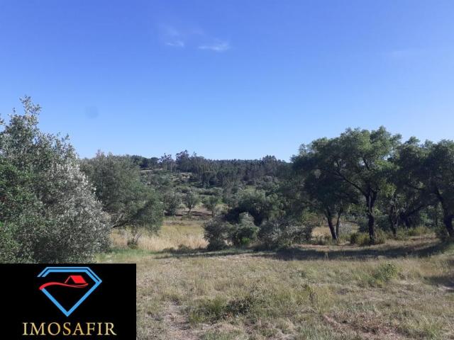 Santarém Tomar 2305 98918518