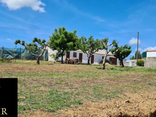 Santarém Tomar 2305 98918510
