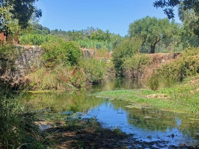 Santarém Torres Novas 2350 98918588