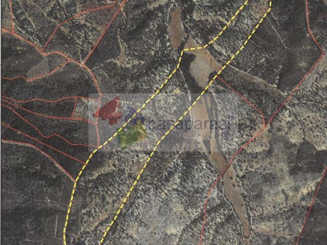 Santarém Abrantes 2205 101468811