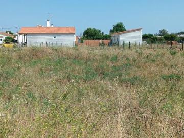 Santarém Almeirim 2080 102700755