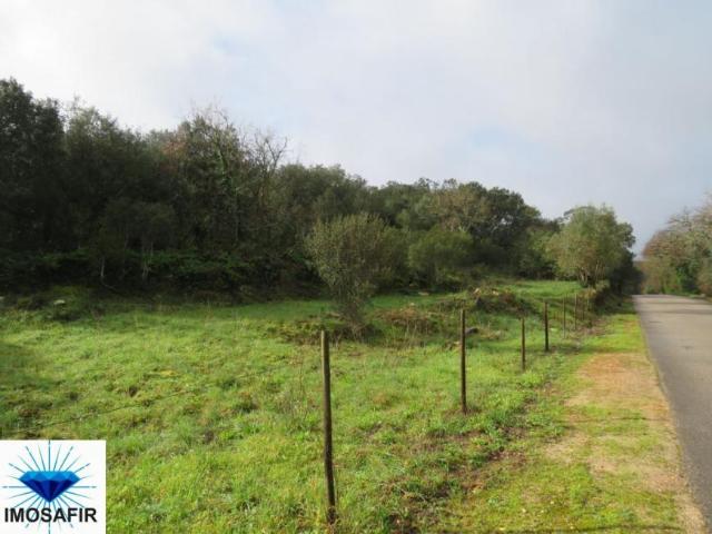 Santarém Ferreira do Zêzere 2240 98918398