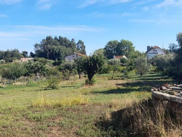 Santarém Ferreira do Zêzere 2240 98918441