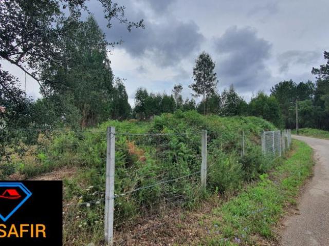 Santarém Ferreira do Zêzere 2240 98918475