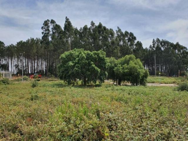 Santarém Ferreira do Zêzere 2240 98918431