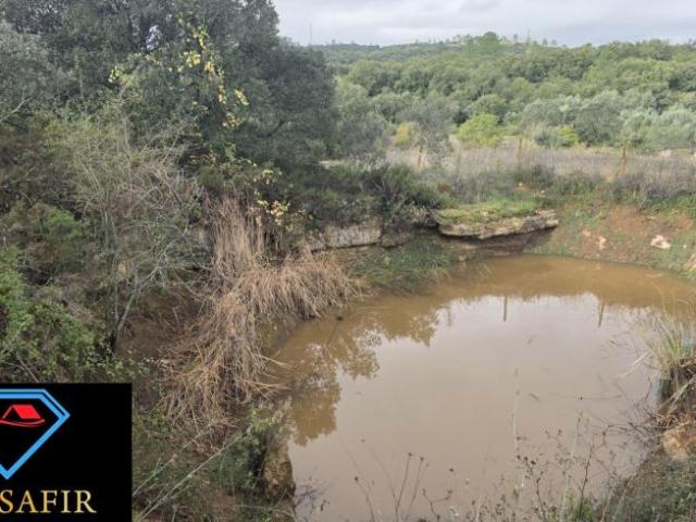 Santarém Ferreira do Zêzere 2240 98918594