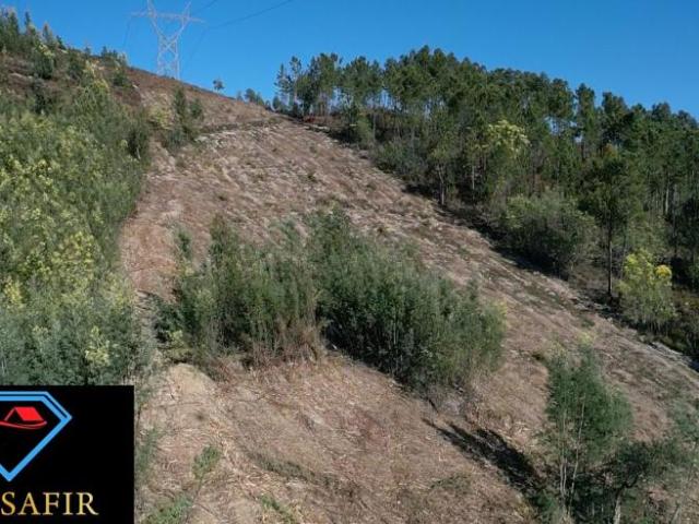 Santarém Ferreira do Zêzere 2240 98918500