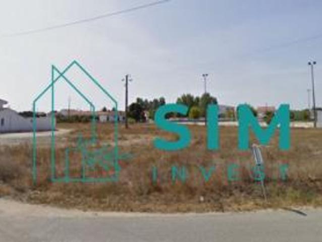 Santarém Golegã 2150 98330858