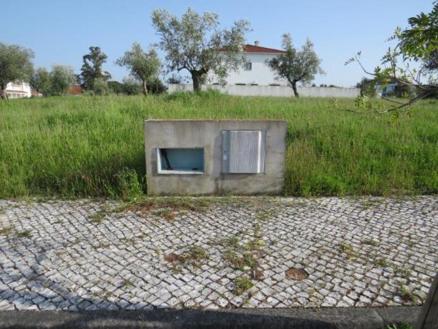 Santarém Ourém 2436 98918447