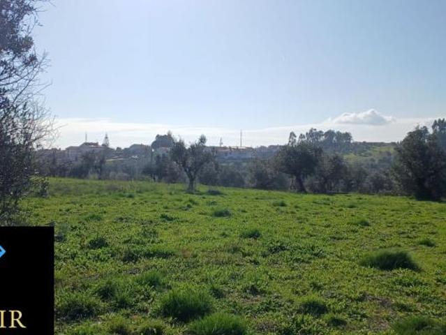 Santarém Ourém 2490 98918530