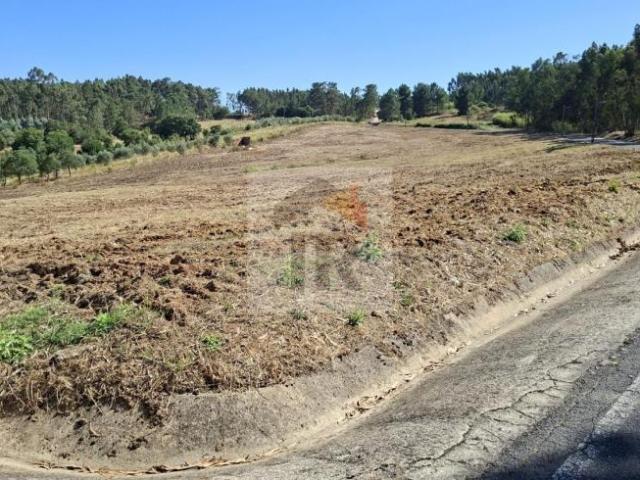 Santarém Rio Maior 2040 104563470