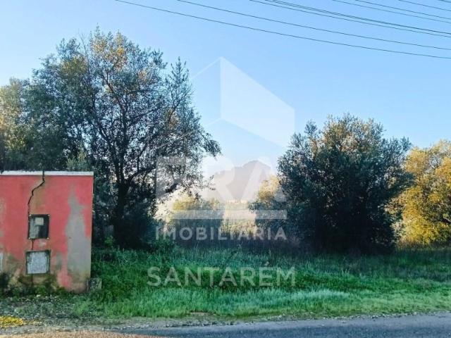 Santarém Santarém 98534949