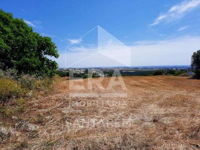 Santarém Santarém 100349865