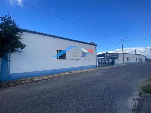 Santarém Santarém 101399457