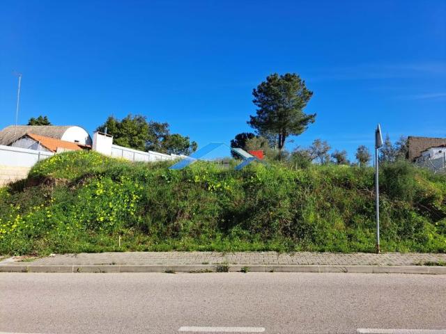Santarém Santarém 101399461