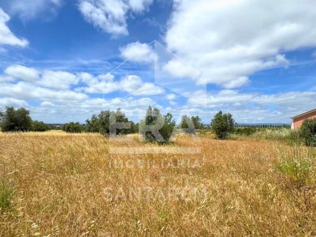 Santarém Santarém 103219749