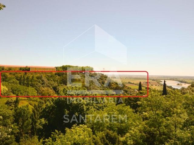 Santarém Santarém 104954724