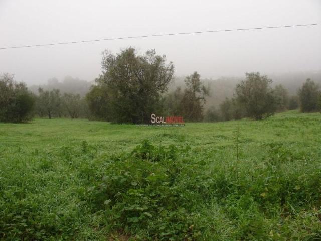 Santarém Santarém LS104970690