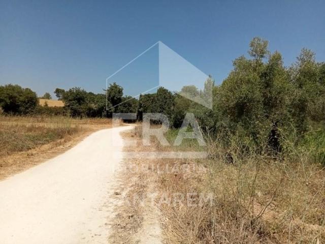 Santarém Santarém 104238242