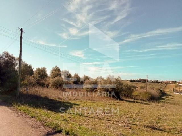 Santarém Santarém 104238243