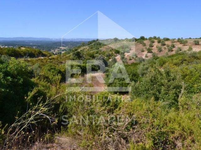 Santarém Santarém 105531448