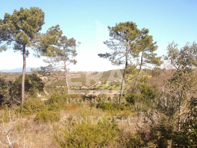 Santarém Santarém 105553975