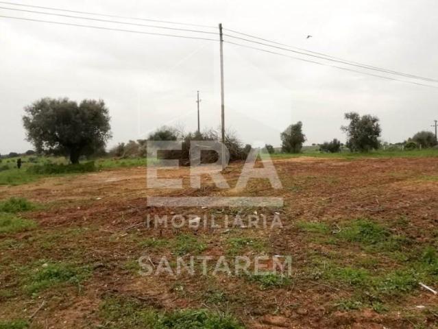 Santarém Santarém 105553977