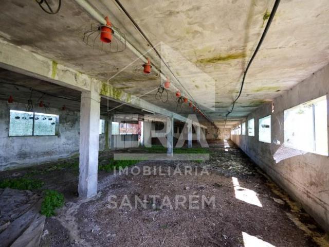 Santarém Santarém LS105267700