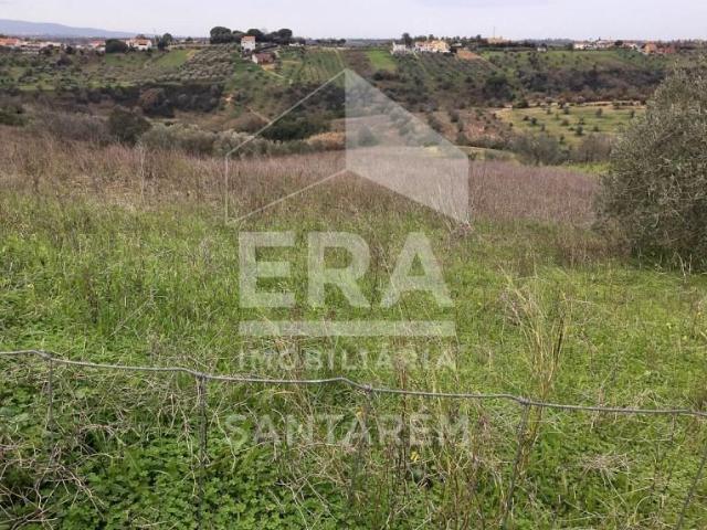 Santarém Santarém LS105267702