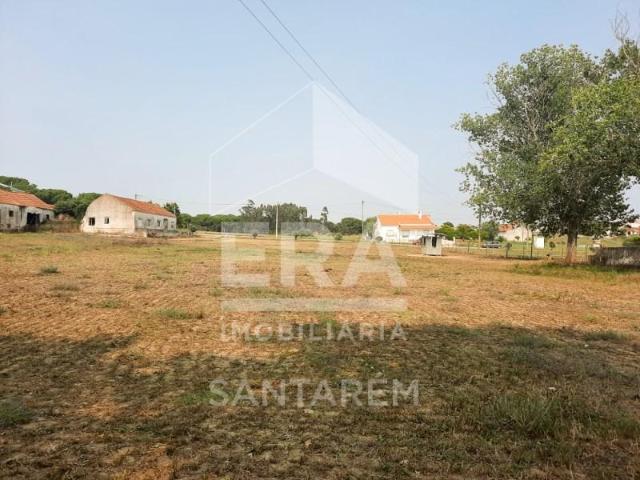 Santarém Santarém 105382917