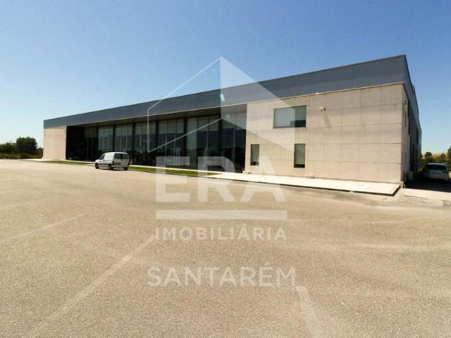 Santarém Santarém 105382922