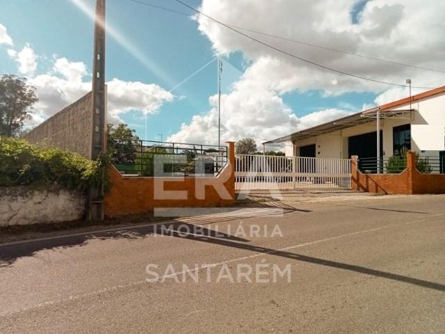 Santarém Santarém 105382923