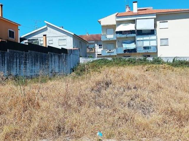 Santarém Santarém 2005 103798411