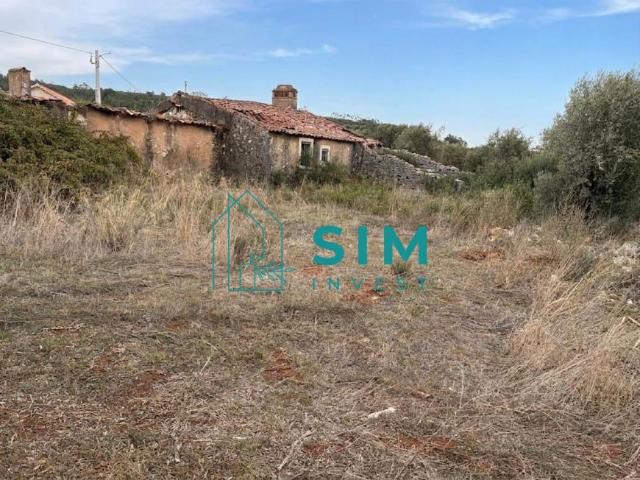Santarém Santarém 2025 105755450
